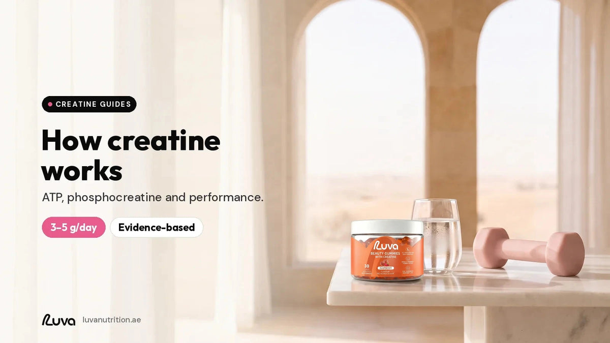 How creatine works with LUVA creatine gummies
